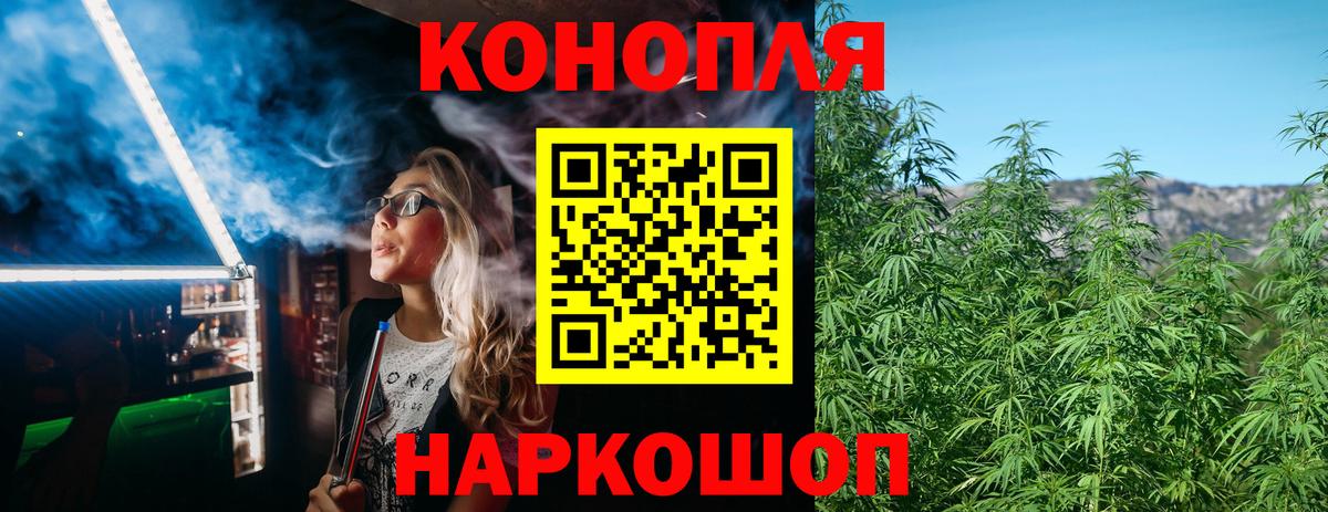 Бошки Шишки MAZAR Назрань